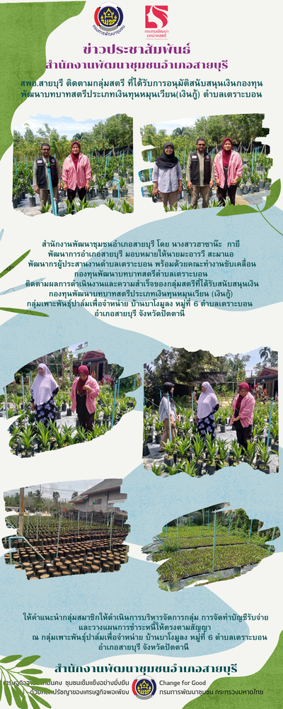 การดำเนินงานกองทุนพัฒนาบทบาทสตรี โครงการกลุ่มเพาะพันธุ์ปาล์มเพื่อจำหน่าย บ้านบาโงมูลง หมู่ที่ 6 ตำบลเตราะบอน อำเภอสายบุรี  จังหวัดปัตตานี