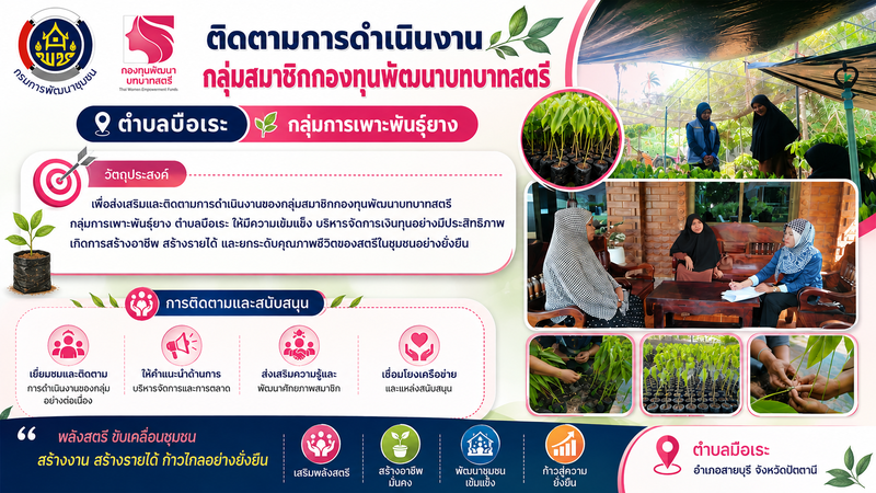 การดำเนินงานกองทุนพัฒนาบทบาทสตรี โครงการกลุ่มเพาะพันธุ์ยาง  ตำบลบือเระ อำเภอสายบุรี  จังหวัดปัตตานี